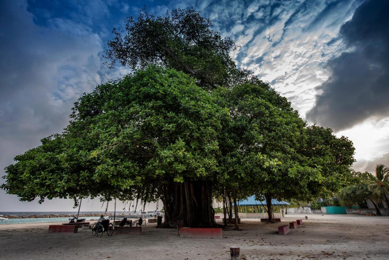 Asaa View Maldives Otel Feridhoo Dış mekan fotoğraf